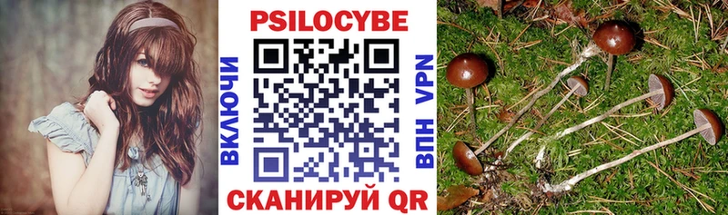 как найти наркотики  Грозный  Галлюциногенные грибы мухоморы 